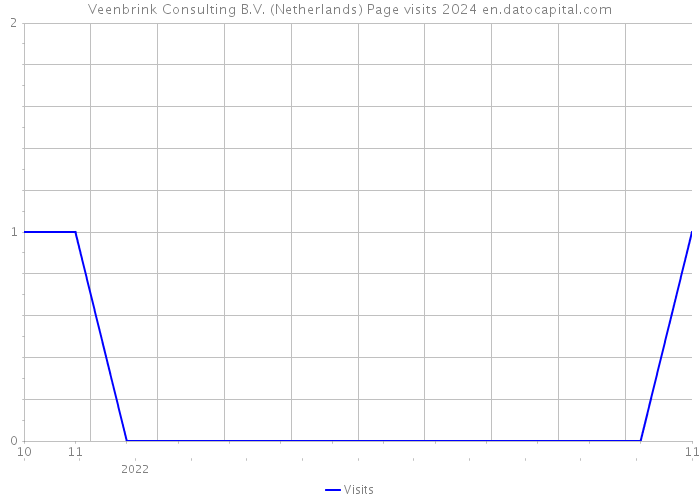 Veenbrink Consulting B.V. (Netherlands) Page visits 2024 