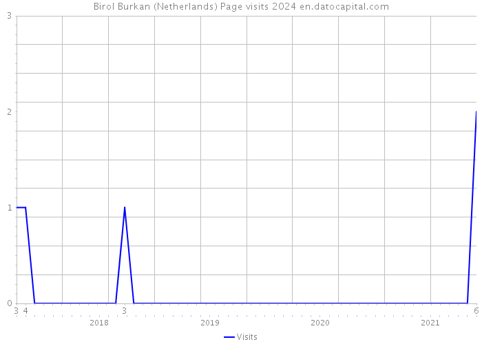 Birol Burkan (Netherlands) Page visits 2024 