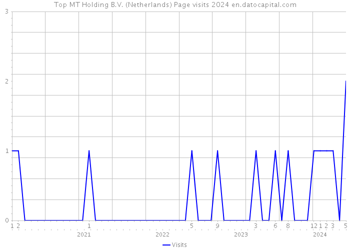 Top MT Holding B.V. (Netherlands) Page visits 2024 