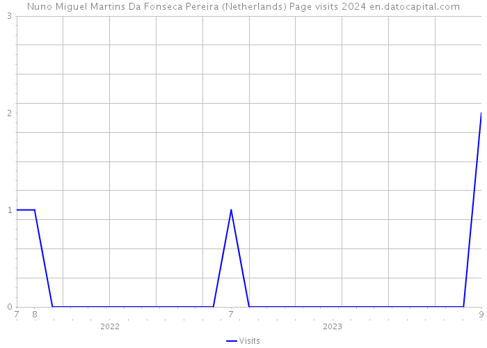Nuno Miguel Martins Da Fonseca Pereira (Netherlands) Page visits 2024 
