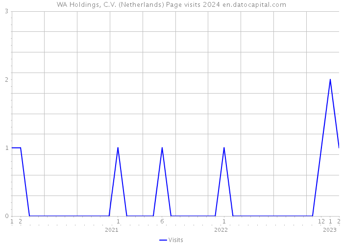 WA Holdings, C.V. (Netherlands) Page visits 2024 