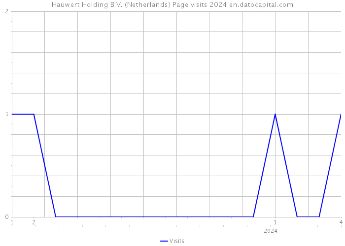 Hauwert Holding B.V. (Netherlands) Page visits 2024 