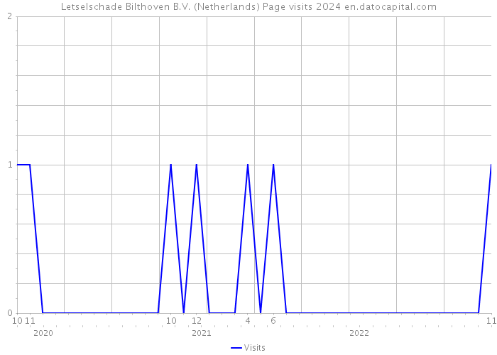 Letselschade Bilthoven B.V. (Netherlands) Page visits 2024 