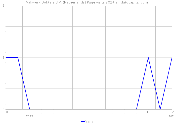 Vakwerk Dokters B.V. (Netherlands) Page visits 2024 