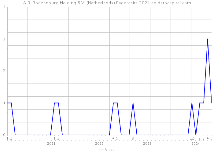 A.R. Roozenburg Holding B.V. (Netherlands) Page visits 2024 