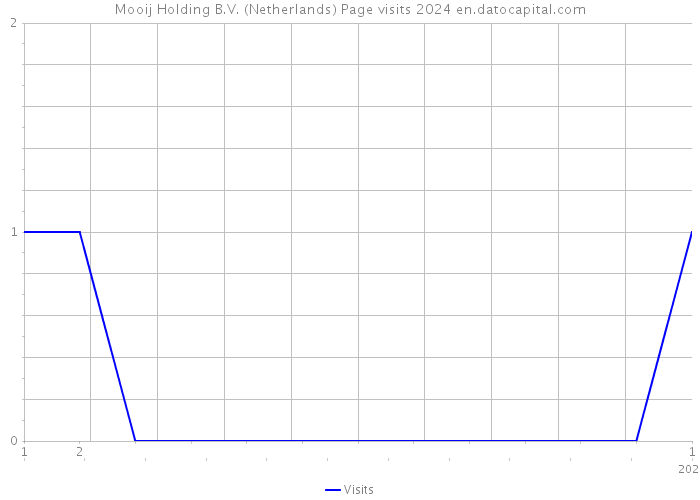 Mooij Holding B.V. (Netherlands) Page visits 2024 