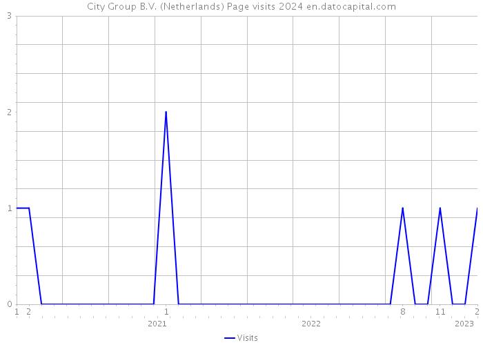 City Group B.V. (Netherlands) Page visits 2024 