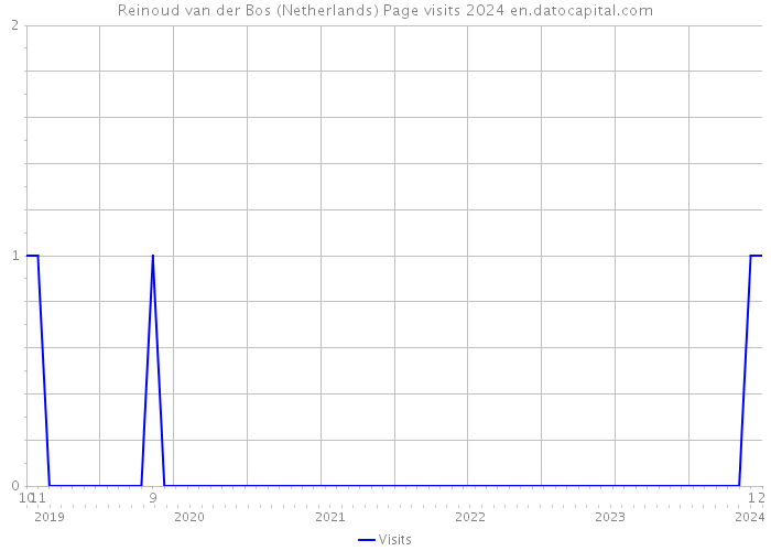 Reinoud van der Bos (Netherlands) Page visits 2024 