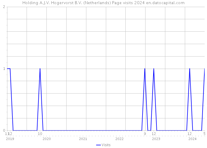 Holding A.J.V. Hogervorst B.V. (Netherlands) Page visits 2024 