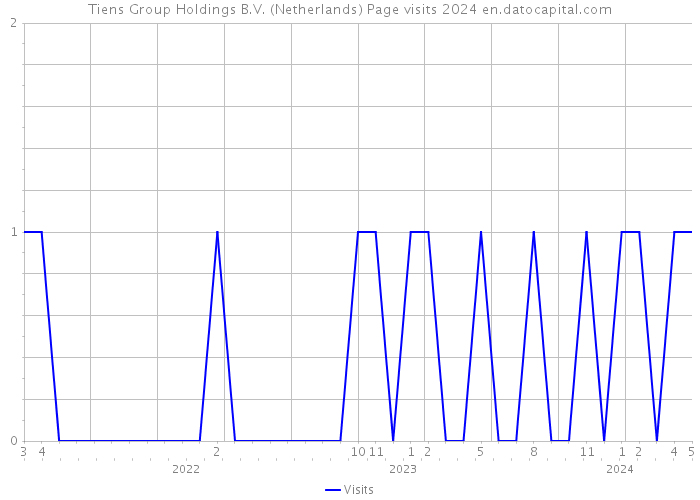 Tiens Group Holdings B.V. (Netherlands) Page visits 2024 