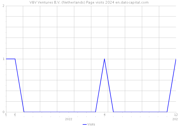 V&V Ventures B.V. (Netherlands) Page visits 2024 