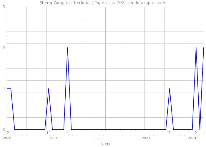 Sheng Wang (Netherlands) Page visits 2024 
