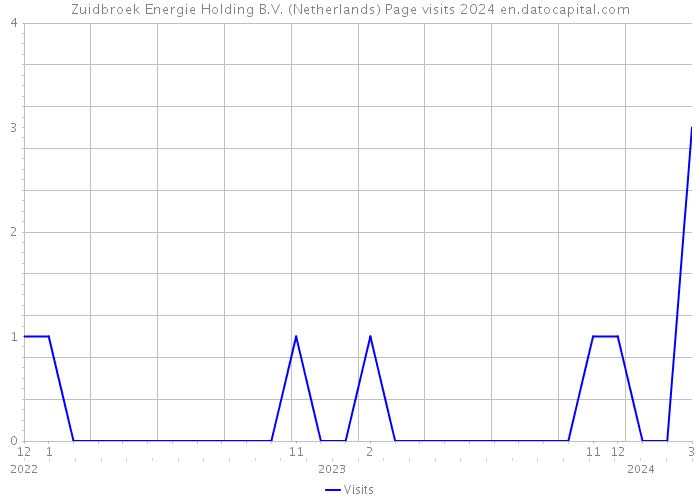 Zuidbroek Energie Holding B.V. (Netherlands) Page visits 2024 