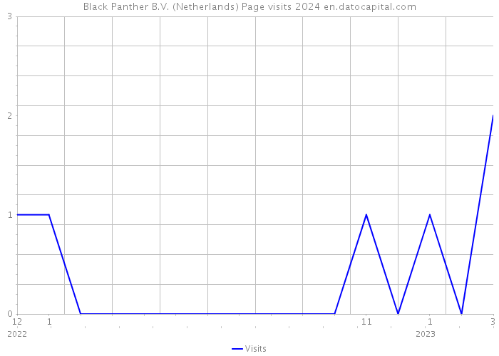 Black Panther B.V. (Netherlands) Page visits 2024 