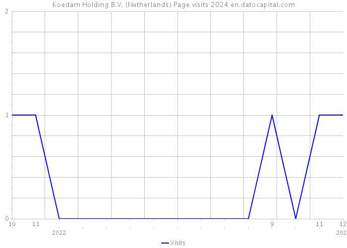Koedam Holding B.V. (Netherlands) Page visits 2024 