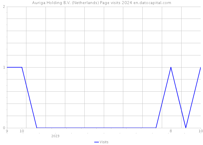 Auriga Holding B.V. (Netherlands) Page visits 2024 
