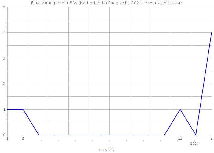 Biltz Management B.V. (Netherlands) Page visits 2024 