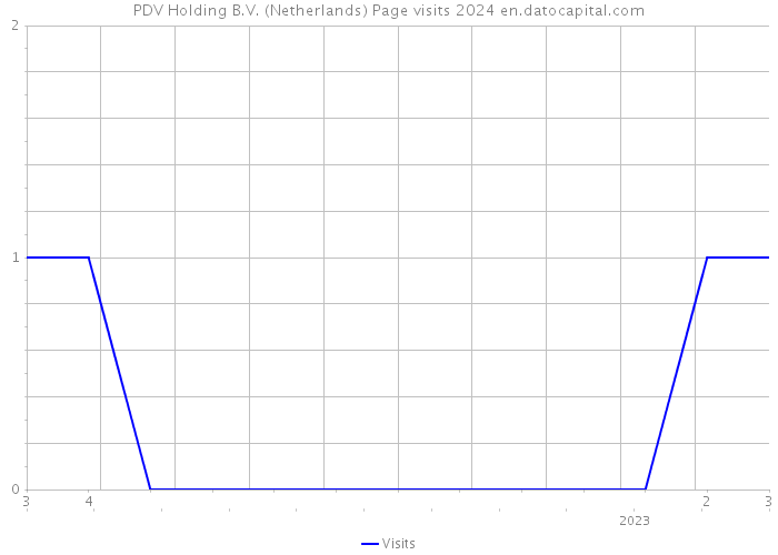 PDV Holding B.V. (Netherlands) Page visits 2024 