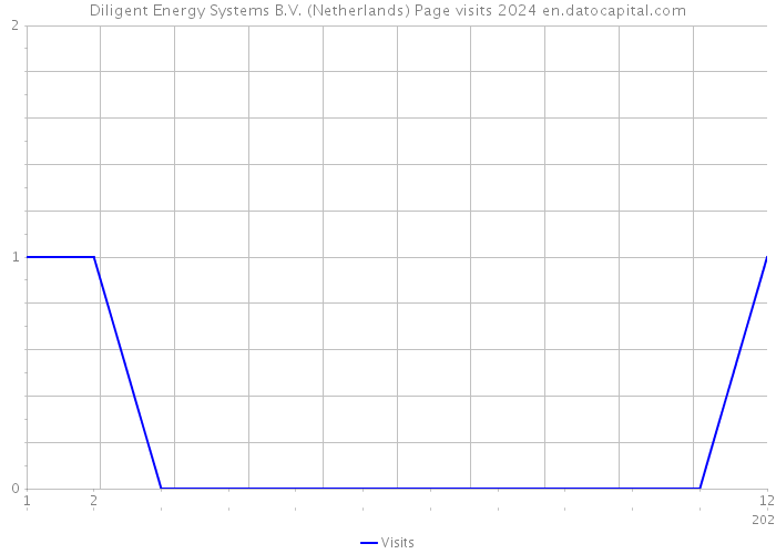 Diligent Energy Systems B.V. (Netherlands) Page visits 2024 