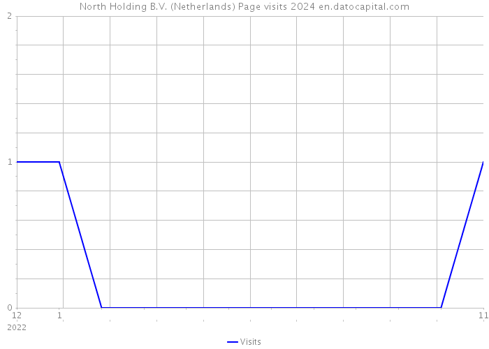 North Holding B.V. (Netherlands) Page visits 2024 