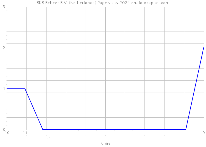 BKB Beheer B.V. (Netherlands) Page visits 2024 