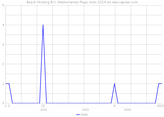 Beach Holding B.V. (Netherlands) Page visits 2024 