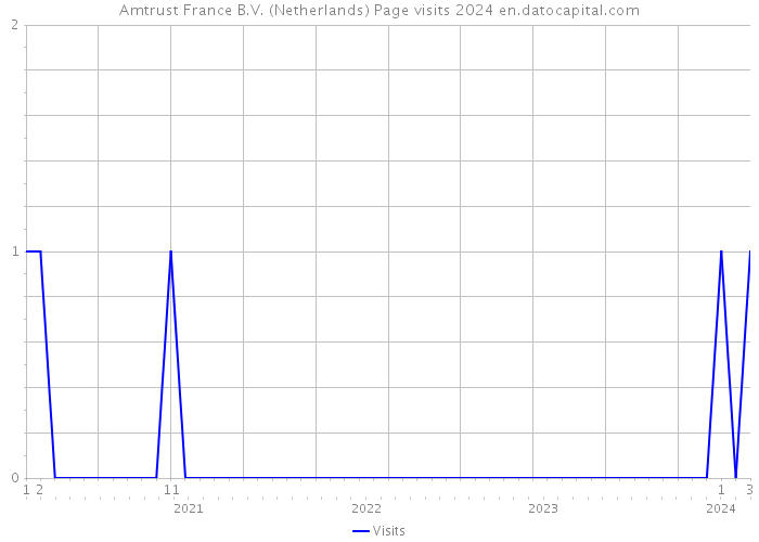 Amtrust France B.V. (Netherlands) Page visits 2024 