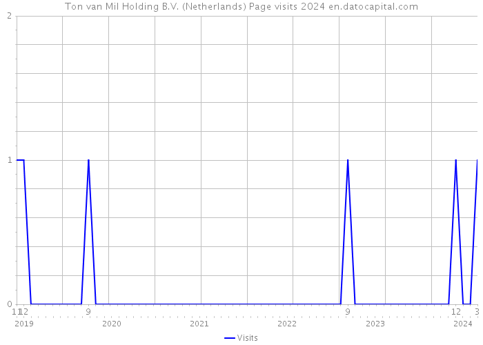 Ton van Mil Holding B.V. (Netherlands) Page visits 2024 