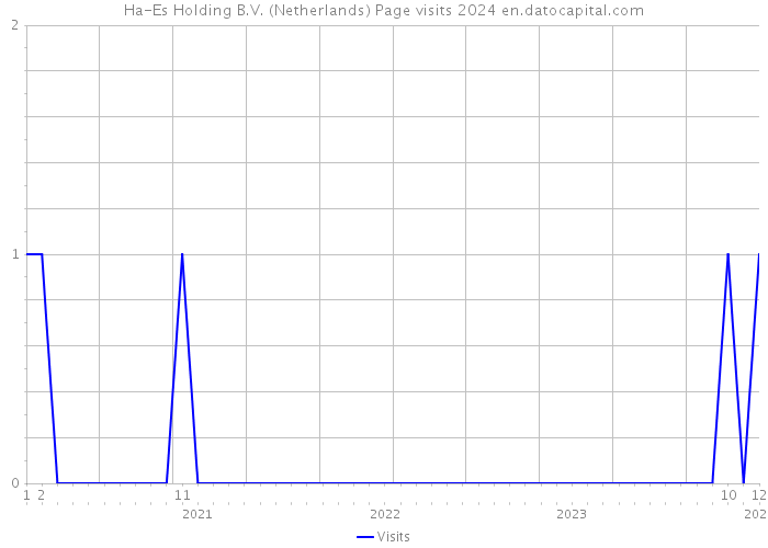 Ha-Es Holding B.V. (Netherlands) Page visits 2024 
