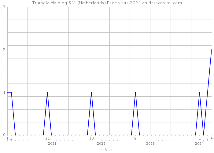 Triangle Holding B.V. (Netherlands) Page visits 2024 