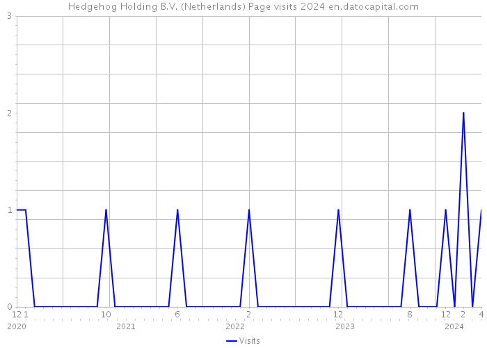Hedgehog Holding B.V. (Netherlands) Page visits 2024 