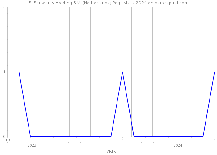 B. Bouwhuis Holding B.V. (Netherlands) Page visits 2024 