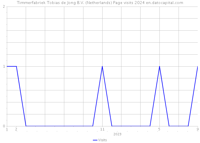 Timmerfabriek Tobias de Jong B.V. (Netherlands) Page visits 2024 