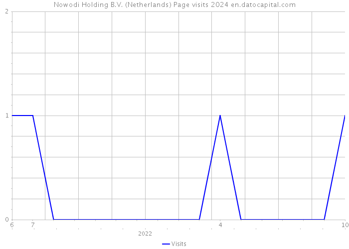 Nowodi Holding B.V. (Netherlands) Page visits 2024 