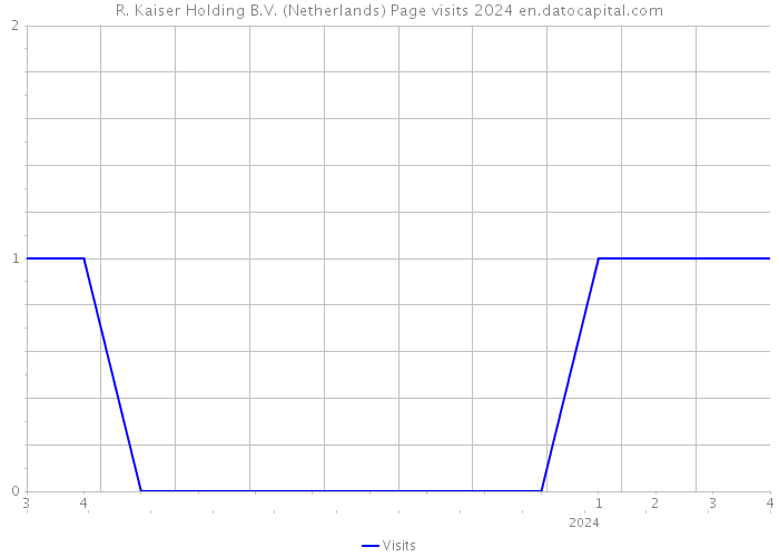 R. Kaiser Holding B.V. (Netherlands) Page visits 2024 