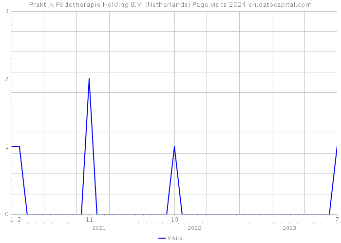 Praktijk Podotherapie Holding B.V. (Netherlands) Page visits 2024 