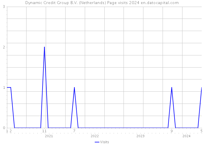 Dynamic Credit Group B.V. (Netherlands) Page visits 2024 