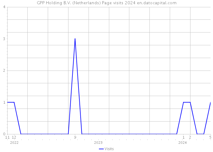 GPP Holding B.V. (Netherlands) Page visits 2024 