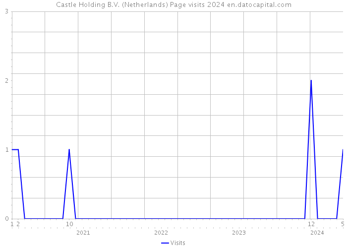 Castle Holding B.V. (Netherlands) Page visits 2024 