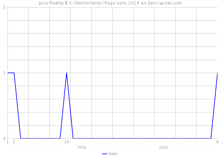 Juicy Reality B.V. (Netherlands) Page visits 2024 