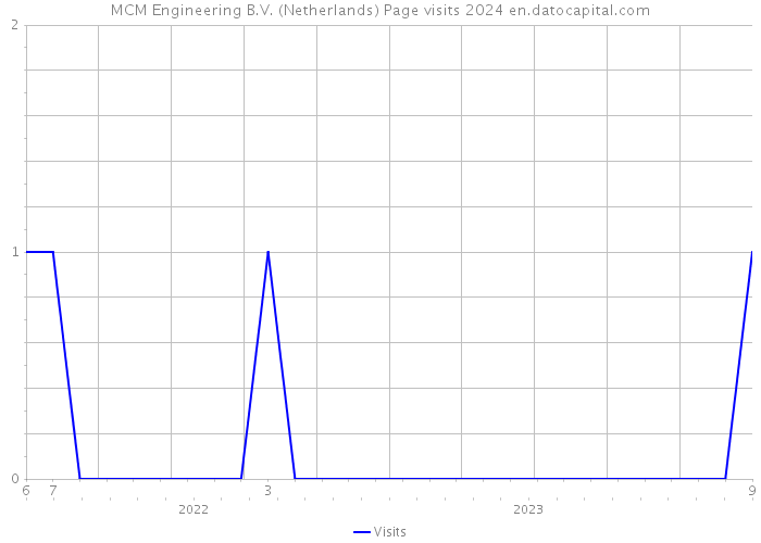 MCM Engineering B.V. (Netherlands) Page visits 2024 