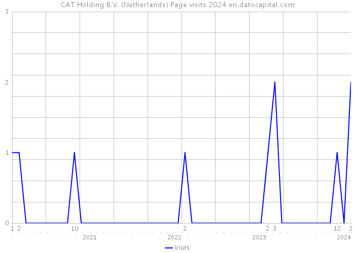 CAT Holding B.V. (Netherlands) Page visits 2024 