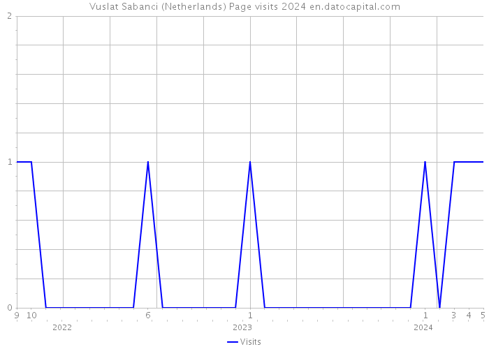Vuslat Sabanci (Netherlands) Page visits 2024 