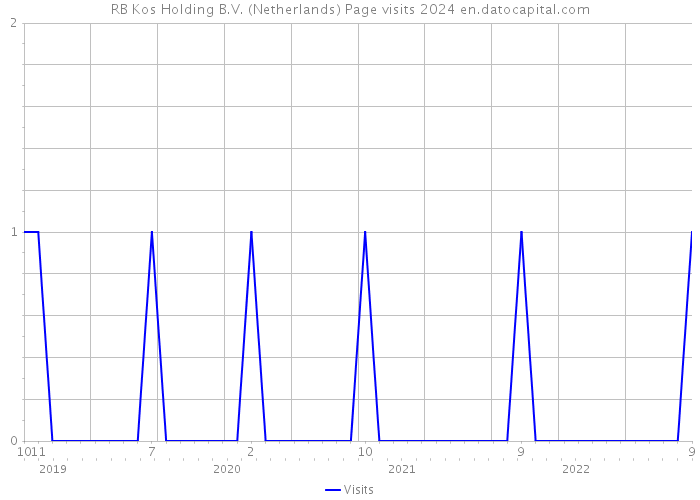 RB Kos Holding B.V. (Netherlands) Page visits 2024 