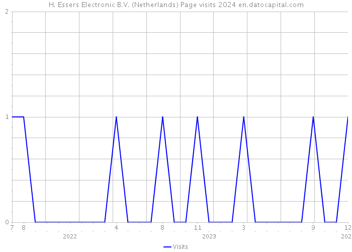 H. Essers Electronic B.V. (Netherlands) Page visits 2024 
