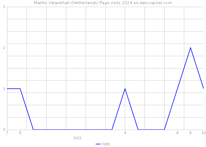 Malihe Vatankhah (Netherlands) Page visits 2024 