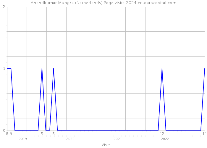 Anandkumar Mungra (Netherlands) Page visits 2024 
