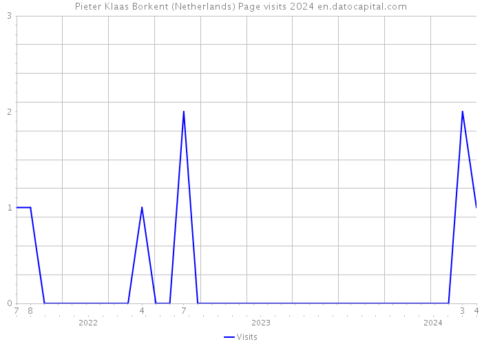 Pieter Klaas Borkent (Netherlands) Page visits 2024 
