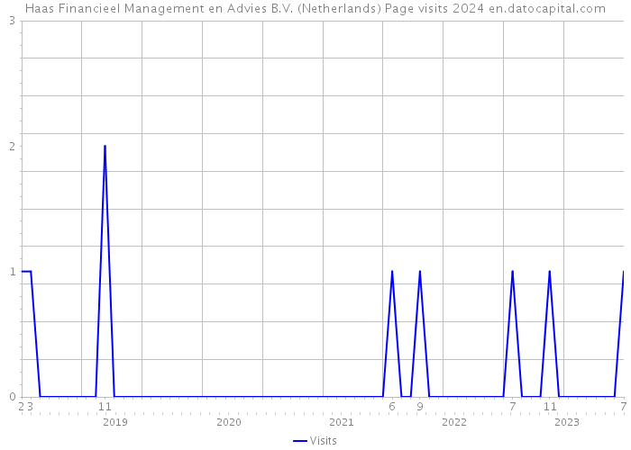 Haas Financieel Management en Advies B.V. (Netherlands) Page visits 2024 