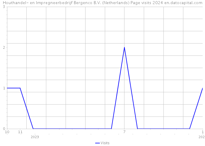 Houthandel- en Impregneerbedrijf Bergenco B.V. (Netherlands) Page visits 2024 